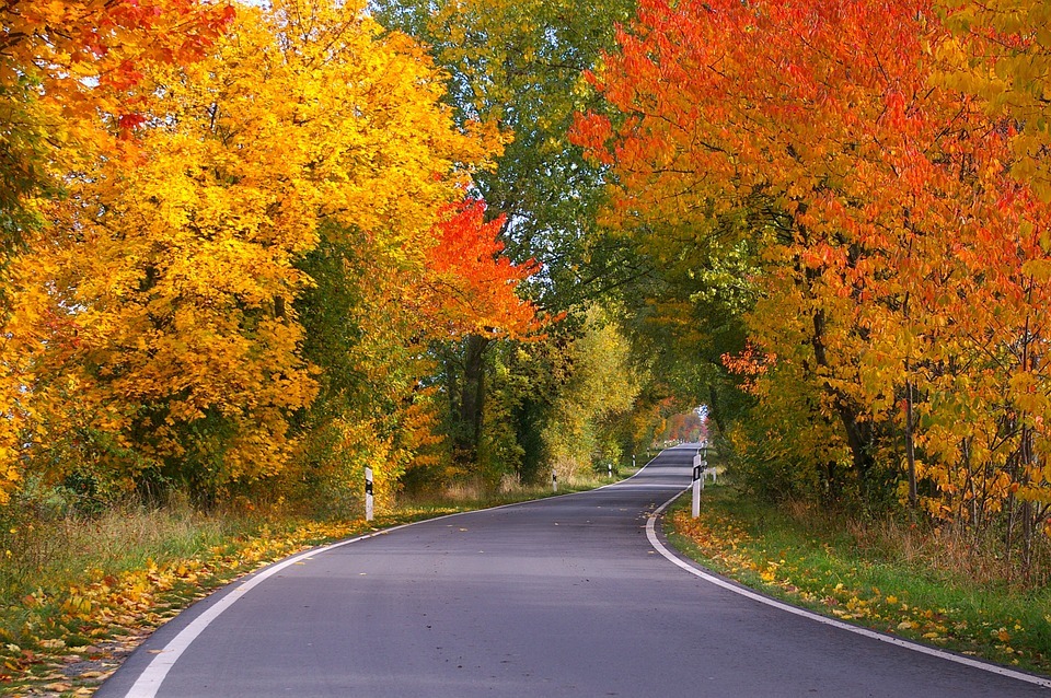 Viajar en otoño, ¿por qué es la mejor época para viajar?